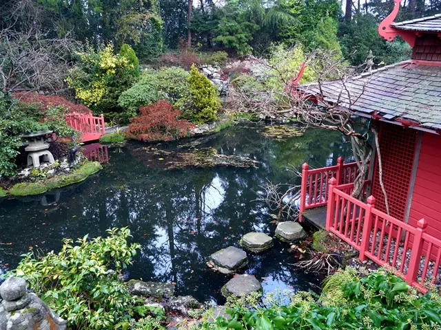 The Japanese Garden at Compton Acres