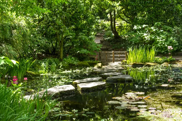 Japanese garden with pond and stone bridge